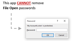 Excel file open password