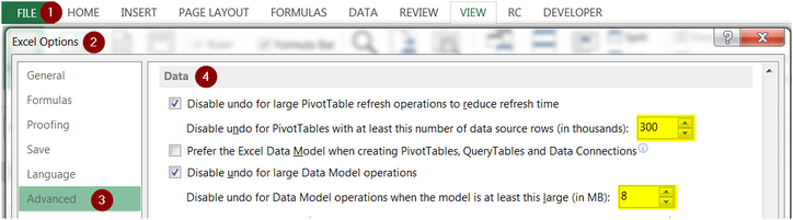 Excel 2013 Advanced Options