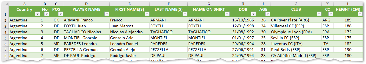 World Cup 2022 Squads in Excel