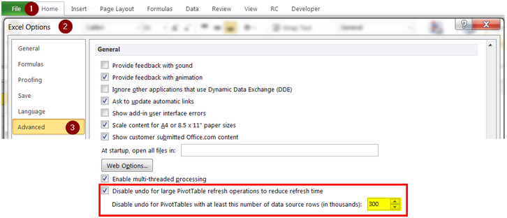 Excel 2010 Advanced Options